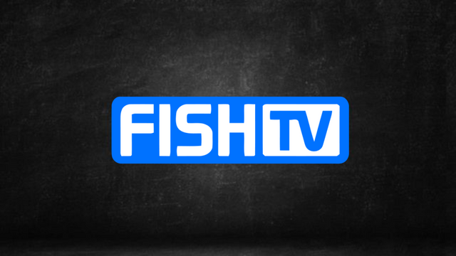 Assistir Fish TV ao vivo HD 24 horas online grátis